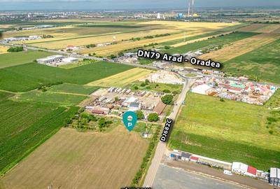 Teren de 5500 mp, în Sânleani - 6