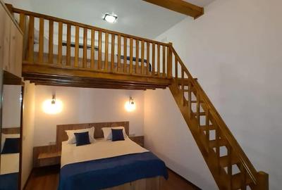 Spatiu comercial direct la Partia Kalinderu Busteni - 4