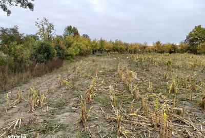 Casă cu 4 camere cu Teren 1611 Mp în Apateu - 5