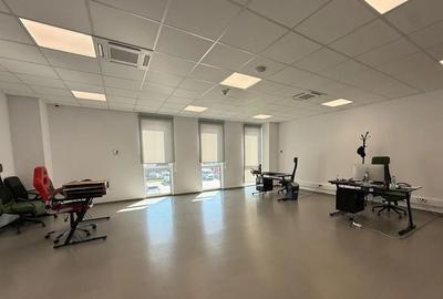 Spațiu industrial, de 3,453 mp, în Theodor Pallady - 6