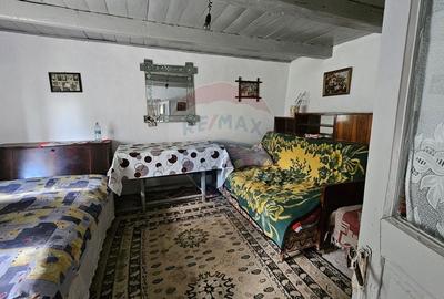 Casă individuală cu 2 camere cu Teren 9200 Mp în Pădureni (Șendriceni) - 10