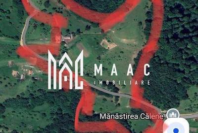 Casă cu 4 camere cu Teren 60000 Mp în Central - 8