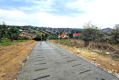 Teren Construcții intravilan de 1200 mp, în Bârnova - 4