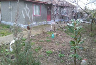 Casă cu 3 camere în Adâncata - 7