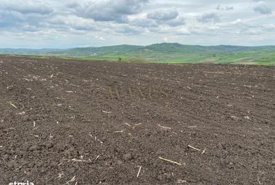 Teren de 10200 mp, în Budești - 5