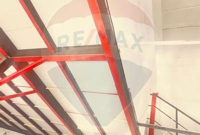 DE INCHIRIAT Spatiu comercial de 120-480 mp in zona Bucurestii Noi - 11