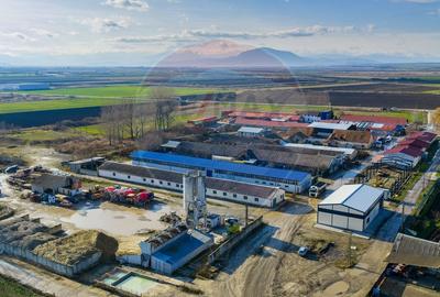 Spațiu industrial, de 298 mp, în Feldioara - 15