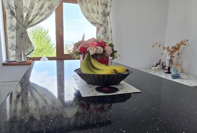 Casă cu 4 camere în Osebiți - 4