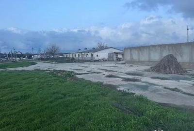 Teren în Valu lui Traian - 4