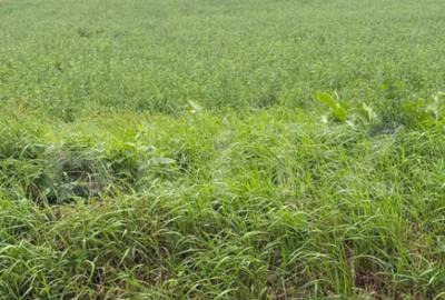 Teren de 1213 mp, în Central