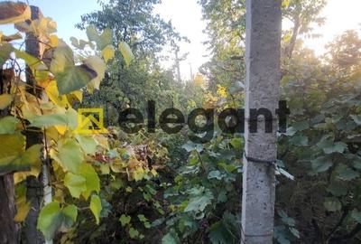 Teren 733 mp, Bariera Valcii-zona strazii Cantonului - 2