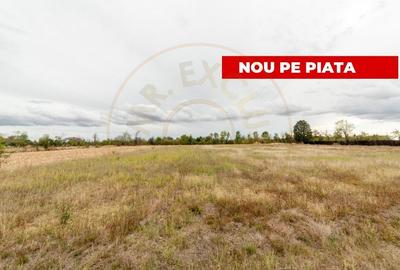 Teren intravilan 3000 mp, Oarja, Arges - amplasament excelent - 1