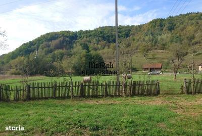 Casă cu 4 camere cu Teren 9563 Mp în Ribița