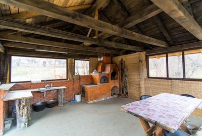 Casa de vacanta sau rezidentiala cu lac si ciubar Nucsoara-Arges - 19
