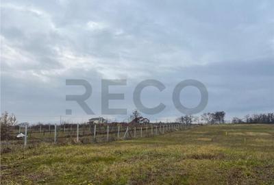 RECO Teren intravilan cu PUZ, la 4 minute de oras ,720 mp,Pa - 3