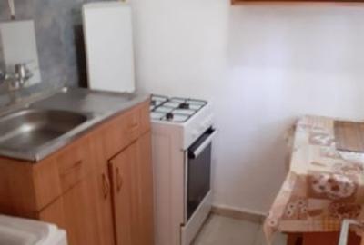 Garsonieră semidecomandată în Craiovița Nouă - 4
