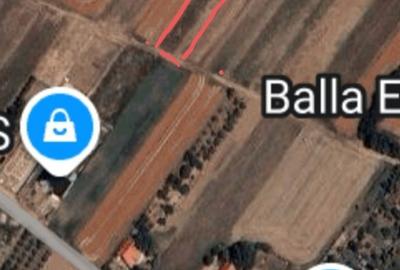 Teren de 1280 mp, în Cauaceu - 3