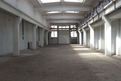 Spațiu comercial, de 2,500 mp, în Nord - 4