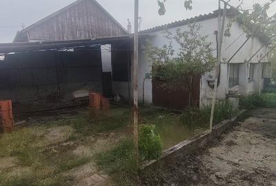 Casă cu 3 camere cu Teren 1135 Mp în Zimandu Nou - 5