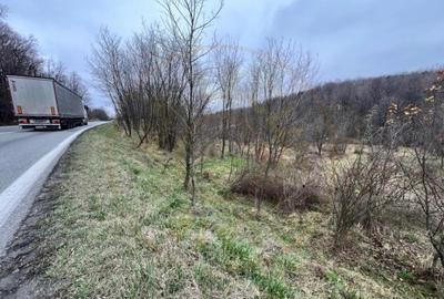 Teren de 6500 mp, în Morărești - 4