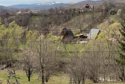 Spațiu comercial, în Valea Doftanei - 3