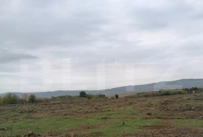 Teren 4500 mp intravilan, TOMESTI-GORUNI - 1