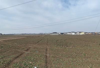 Teren în Berceni - 1