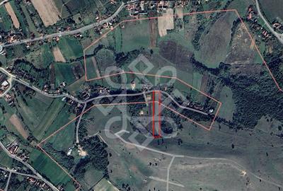 Teren intravilan 5995 mp in Hidiselu de Sus - 7