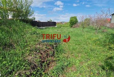 Teren de 958 mp, în Micești - 7