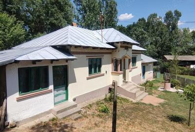 Casă cu 2 camere cu Teren 4098 Mp în Deagu de Jos - 4