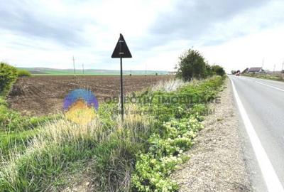 TEREN intravilan PIATRA NEAMT strada Izvoare - 6