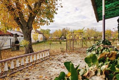 Vând casă în Zimandu Nou Vând casă în Zimandu Nou - 6