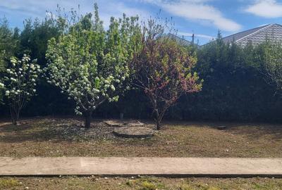 Casă cu 4 camere cu Teren 1000 Mp în Perișoru - 1