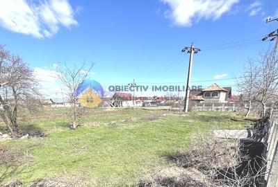 TEREN intravilan  comuna SAVINESTI - 9