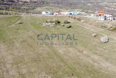 Teren intravilan 3658 mp Borhanci - 2