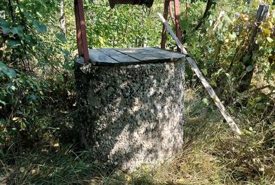 Casă cu 4 camere în Oituz - 3