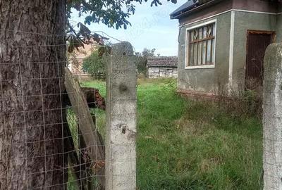Casă cu 4 camere în Sânmiclăuș - 4