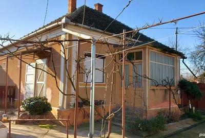 Casă cu 6 camere cu Teren 2984 Mp în Chișineu-Criș - 8