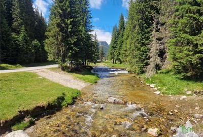 Teren intravilan de vanzare Padina/ Muntii Bucegi - 3