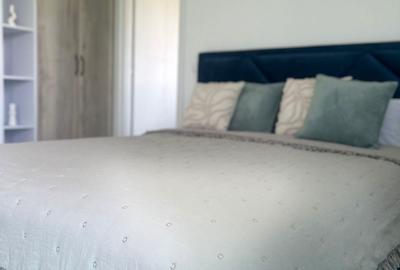 Apartament cu 2 camere decomandat în Petru Vodă - 1