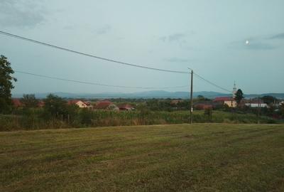 Teren Construcții intravilan de 3687 mp, în Răchita - 10