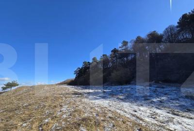 Teren în Feleacu - 1