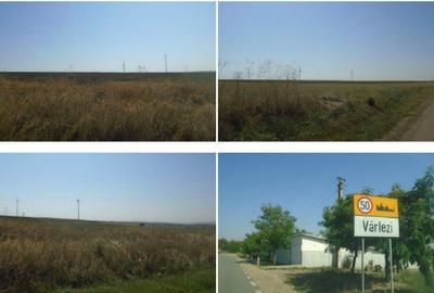 Teren de 5000 mp, în Vârlezi - 7