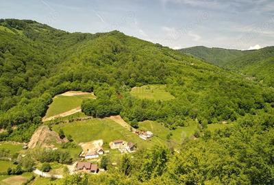 Teren de 16000 mp, în Poiana Mărului - 6