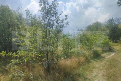 Teren de 5857 mp, în Horodnic - 5