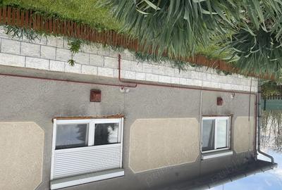 Case Mare de Vanzare cu 3 Camere - 4