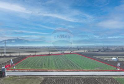 Teren agricol intravilan de 5300 mp, în Prejmer - 2