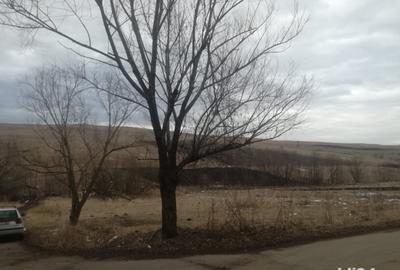 Teren de 2892 mp, în Fălticeni - 6