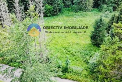 Teren intravilan sat Schitu Tarcau , comuna Tarcau - 3