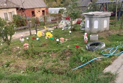 Casă în Șomcuta Mare - 1